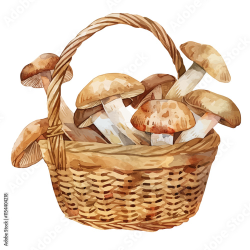 A watercolor vector of mushrooms freshly picked from the forest, isolated on a white background. Forest mushrooms vector.
