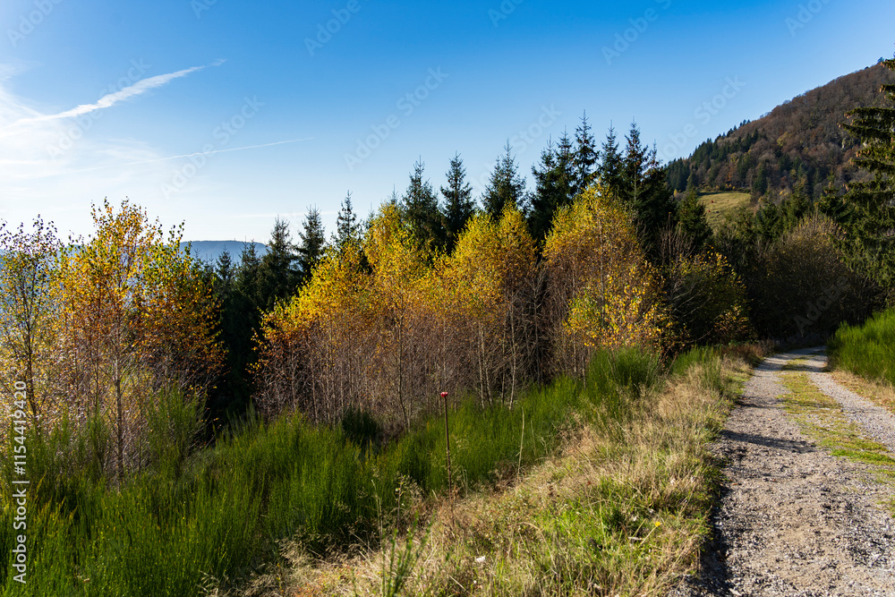beau paysage à beau paysage à