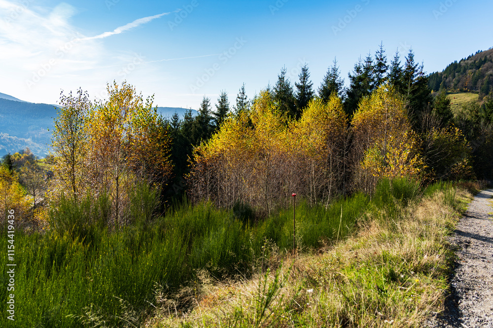 beau paysage à beau paysage à