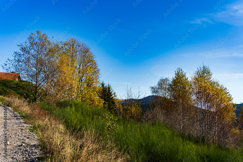 beau paysage à beau paysage à