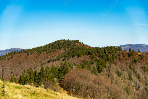 beau paysage à 