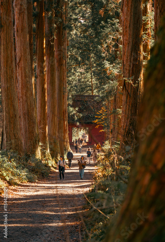 Upper Togakushi Shrine (Okusha) in autumn - Nagano, Japan photo