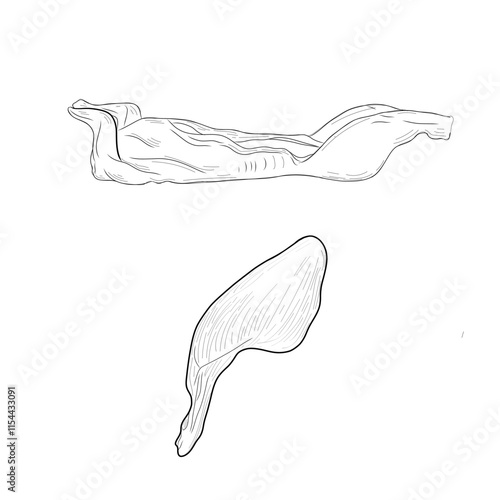 Set of line meat of rabbit, bunn, cony isolated, line art, sketch, doodle