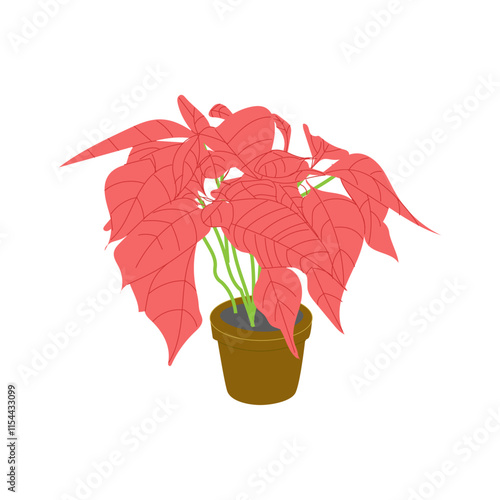 POinsettia colored isolated, flat design. Graphic, doodle, sketch flower in the pot.