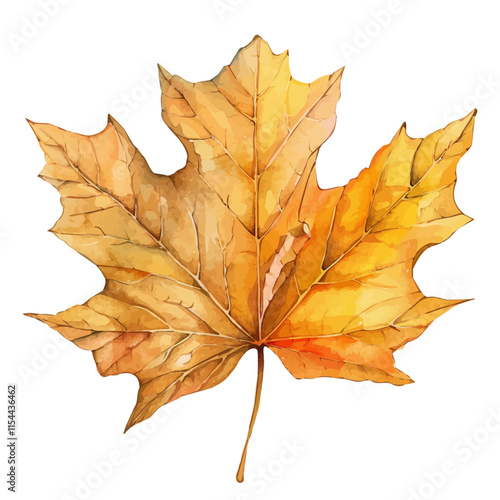 A watercolor vector of a crunchy leaf underfoot, isolated on a white background. Leaf vector.
