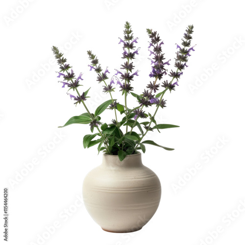 Wallpaper Mural PNG Of Elegant bouquet of purple flowers in a simple ceramic vase, showcasing natural beauty and tranquility, White or Transparent Background Torontodigital.ca