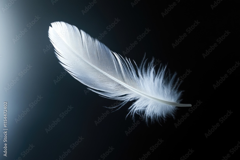 A single, delicate white feather floats against a stark transparent background, creating a serene and ethereal image. A single, delicate white feather floats against a stark transparent background, creating a serene and ethereal image.
