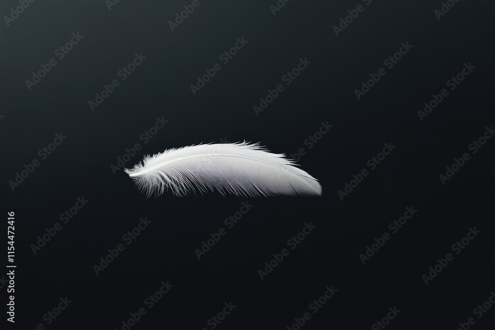Obraz premium A single white feather floats gently against a stark transparent background, evoking serenity and lightness.