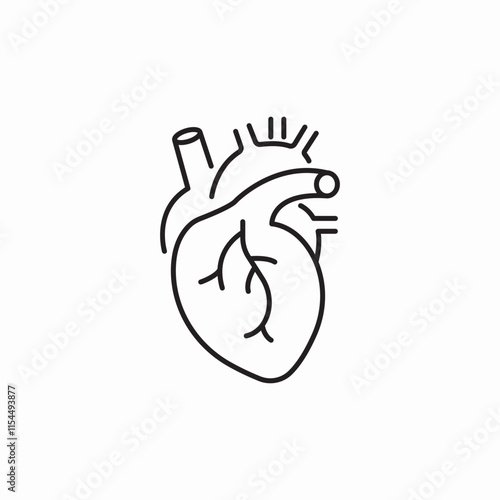 human heart icon sign vector