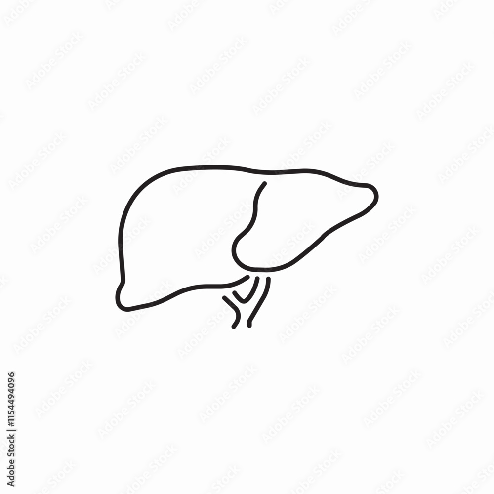 lever organ icon sign vector lever organ icon sign vector