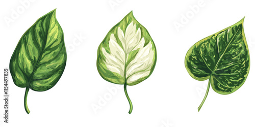 Different types of decorative leaves arranged in a row showcasing vibrant green hues and unique patterns