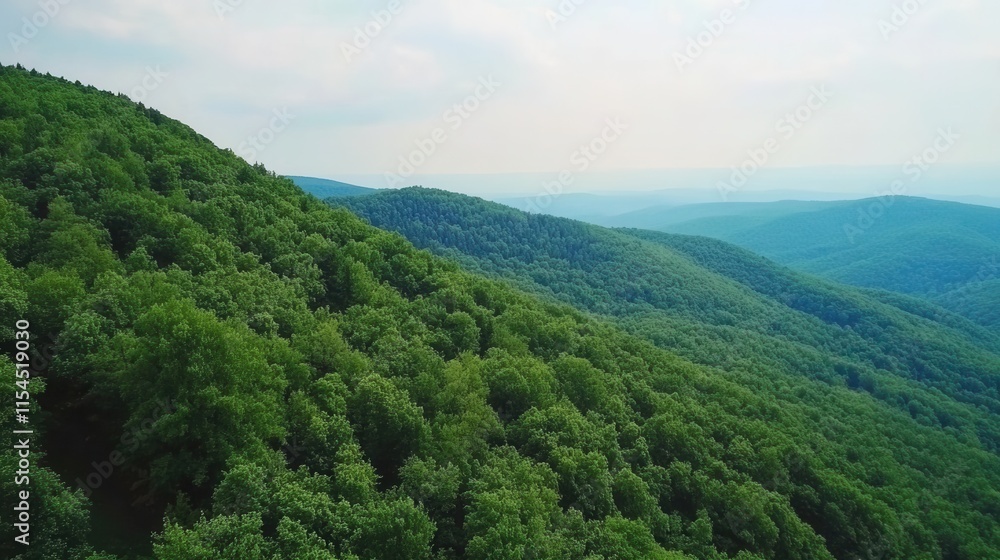 Naklejka premium Lush Green Mountains Under Soft Clouds with Expansive Sky View