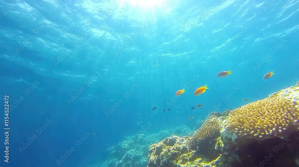 Naklejka premium Underwater Scene with Colorful Fish and Vibrant Coral Reefs in Ocean