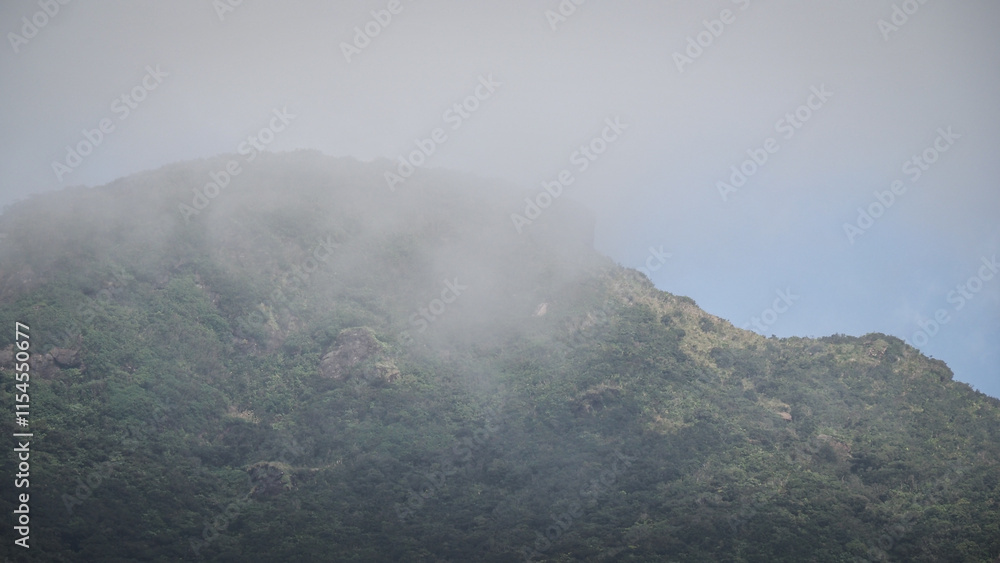 The landscape of the Horton Plains in Sri Lanka The landscape of the Horton Plains in Sri Lanka