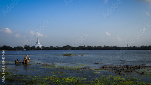 Bild auf Leinwand Buddhist temple in Anuradhapura, Sri Lanka