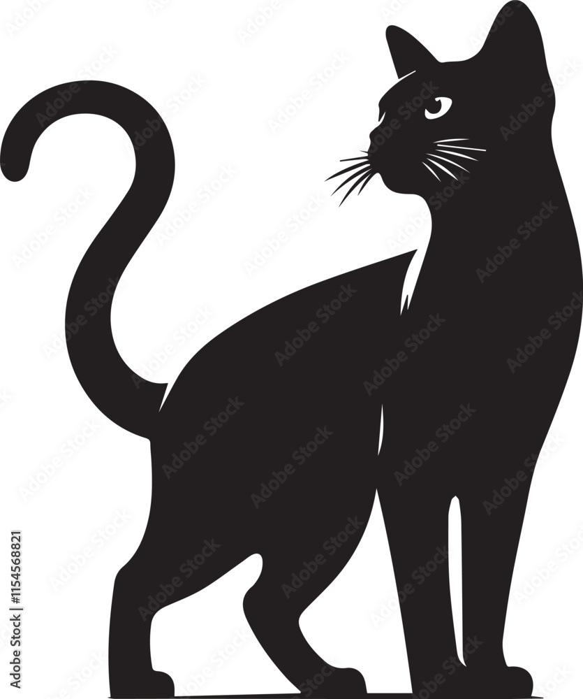 Obraz premium Black cat silhouette