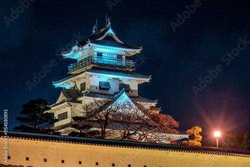 ライトアップされた今治城