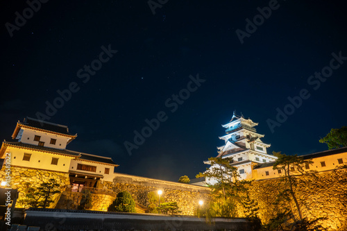 ライトアップされた今治城