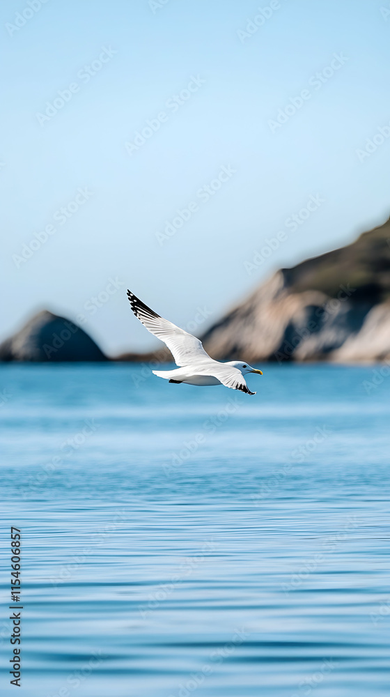 Seagull Soaring Coastal Cliffs Ocean Flight Nature Wildlife. Seagull Soaring Coastal Cliffs Ocean Flight Nature Wildlife.