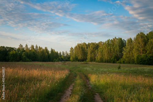 View of the country road through the Izborsko-Malskaya valley on a sunny summer morning, Izborsk, Pechersk district, Pskov region, Russia photo