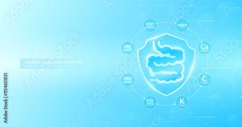 Shield healthy small intestine build immunity with  probiotic prebiotic fiber and vitamin K minerals calcium surrounded. Nourish by medical health care supplements. Banner vector.