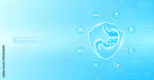 Shield healthy stomach build immunity with probiotics vitamins minerals and fiber beta carotene surrounded. Nourish by medical health care supplements. Used for designing food ads. Banner vector.