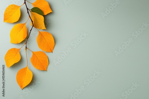 Wallpaper Mural A branch with vibrant yellow leaves against a soft green background, evoking a serene autumn ambiance. Torontodigital.ca