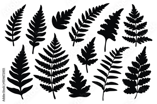  Fern silhouettes set isolated flat vector illustration on white background