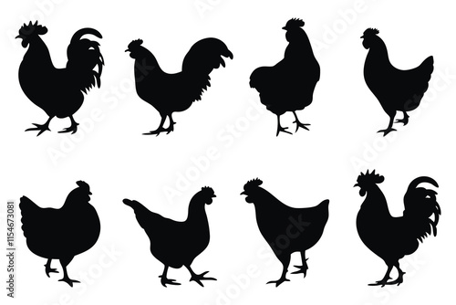 Hen, chicken silhouettes set isolated flat vector illustration on white background.