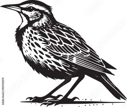 Meadowlark bird silhouette