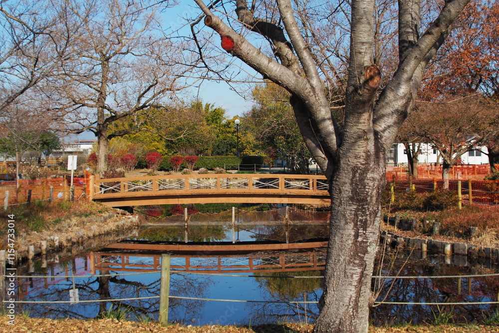 Obraz premium 冬の公園風景