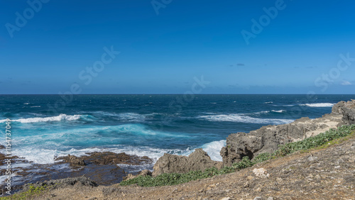 The waves of the blue ocean are foaming and crashing on the rocky shore. Picturesque volcanic boulders on the coast, green vegetation. Clear azure sky. Copy Space. Mauritius. Île aux Fouquets     photo