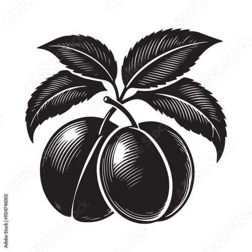 Plum Silhouette Vector Illustration, Solid White Background.