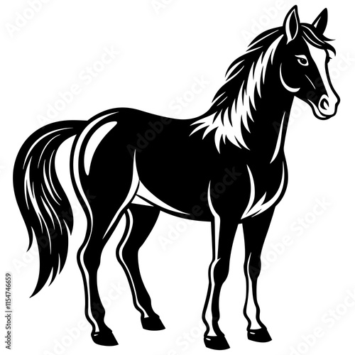 horse vector illustration