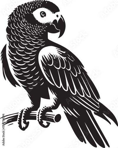 Black and white parrot silhouette