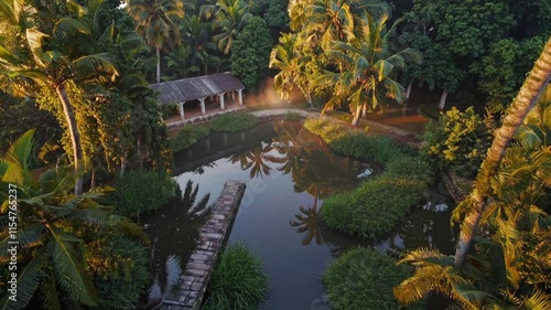 Morning Serenity: A Tranquil Tropical Pond
