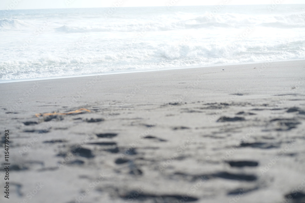 beautiful sea and sandy beach on sunny day beautiful sea and sandy beach on sunny day
