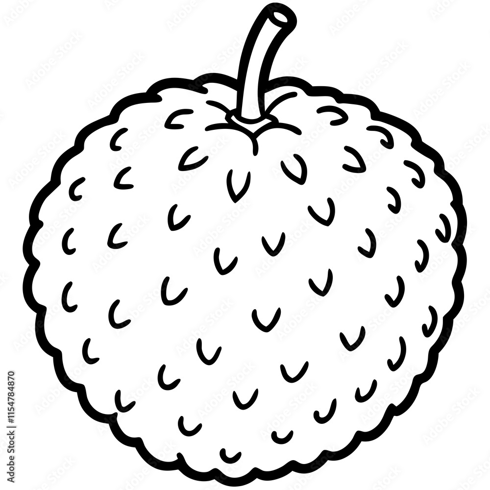 Lychee line art vector Lychee line art vector