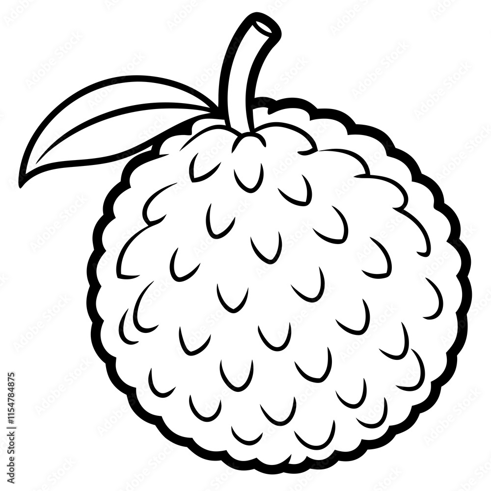 Lychee line art vector Lychee line art vector