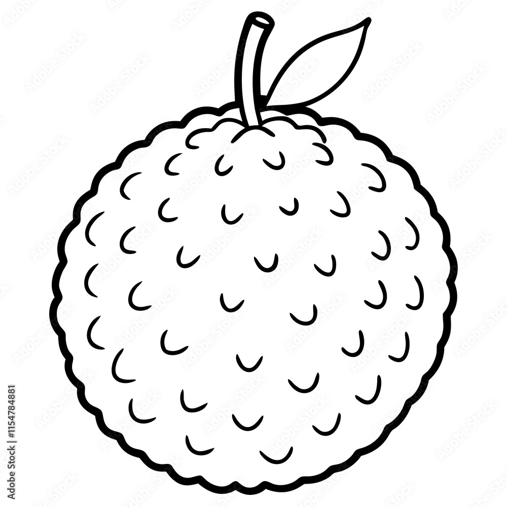 Lychee line art vector Lychee line art vector