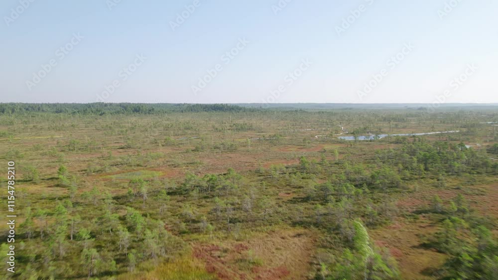 Vast peat swamp on a sunny day, aerial view Vast peat swamp on a sunny day, aerial view