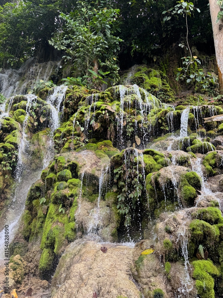 The Kali Dingin waterfall tourist location is in Wasuponda, East Luwu with an exotic and beautiful natural location. The Kali Dingin waterfall tourist location is in Wasuponda, East Luwu with an exotic and beautiful natural location.