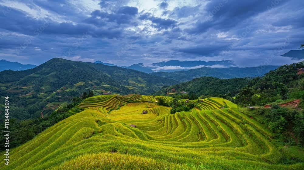 Time lapse A breathtaking view of vibrant green and golden rice terraces cascading down the mountainside, set against a backdrop of lush hills and a cloudy sky in a serene rural setting. Time lapse A breathtaking view of vibrant green and golden rice terraces cascading down the mountainside, set against a backdrop of lush hills and a cloudy sky in a serene rural setting.