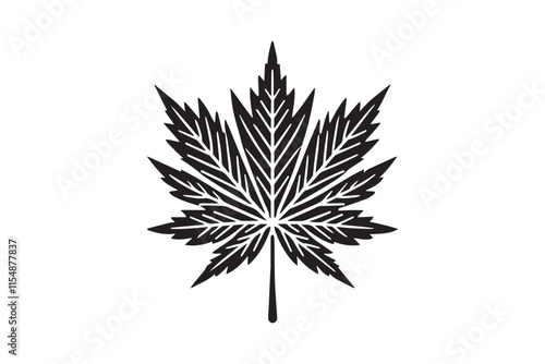 simple black an white mapple leaf vector silhouette isolated on a white background