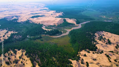 Aerial view of desert with sand dunes and sparse vegetation