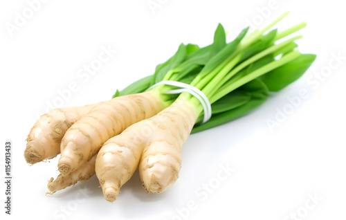 Close up of fresh ginger isolated on white background which looks natural and organic, Ginger, Galangal, Herbs photo