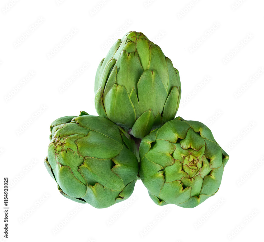 Fototapeta premium Freshly harvested green artichoke isolated on a white background.