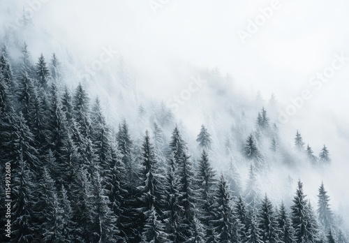 Dense Snow-Covered Evergreen Forest Blanketed in Misty Fog on a Winter Day, Creating a Serene and Ethereal Atmosphere in Nature's Wilderness