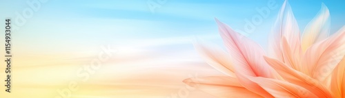 Feather on blue sky, closeup of texture, detail and delicate structure in nature photography