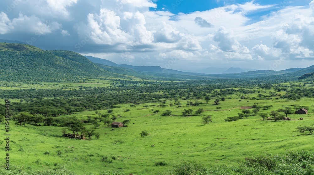 Fototapeta premium A large field of grass with a few trees in the background